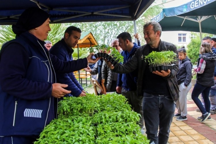 Eskişehir'de ücretsiz fideyi alan tarlaya koştu