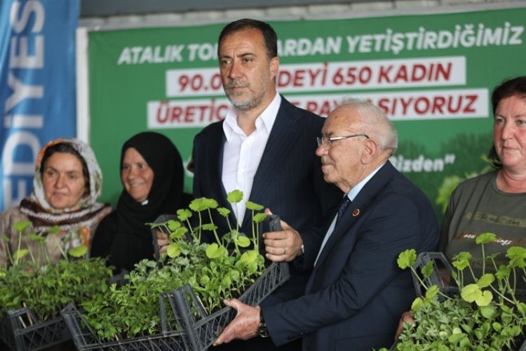 Silivri Belediyesi,Atalık tohumlardan yetiştirilen binlerce fide dağıttı
