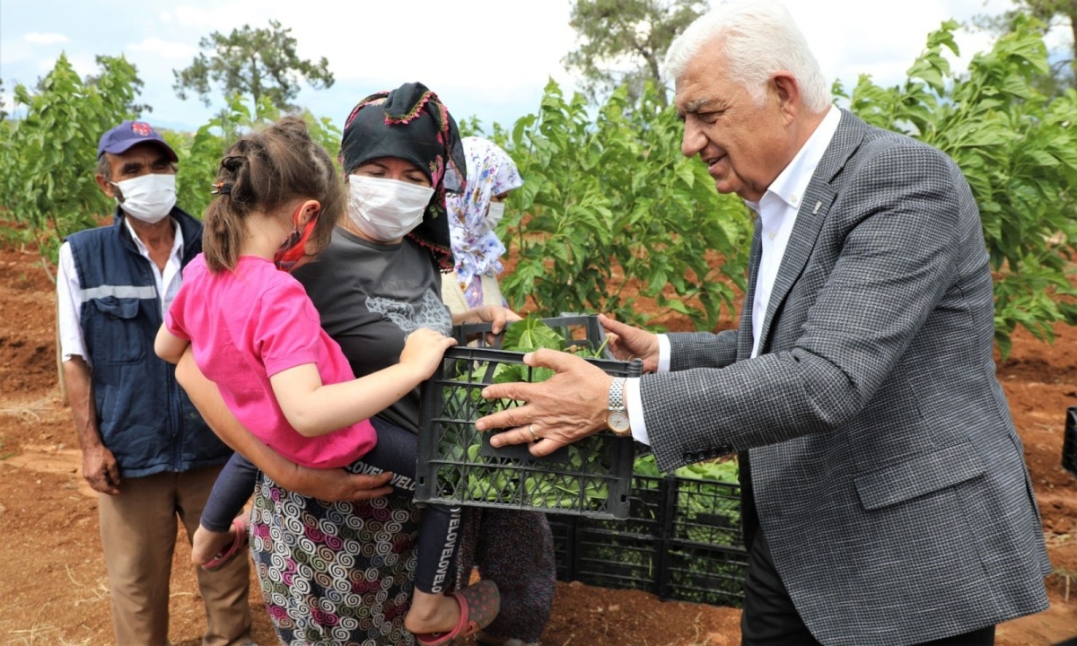 Büyükşehir İpekböcekçiliğini Destekliyor
