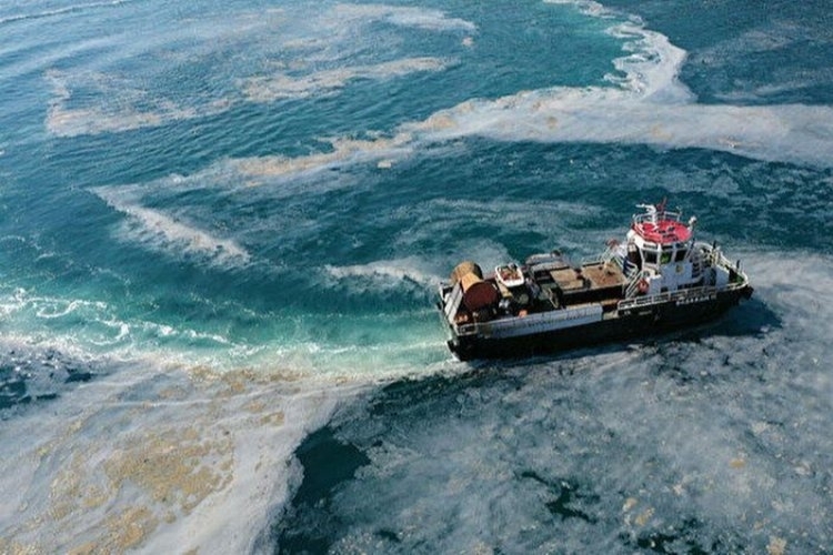 BTÜ'nün Müsilaj Uyarısı: Denizlerimizde Tehlikeli Durum Devam Ediyor!