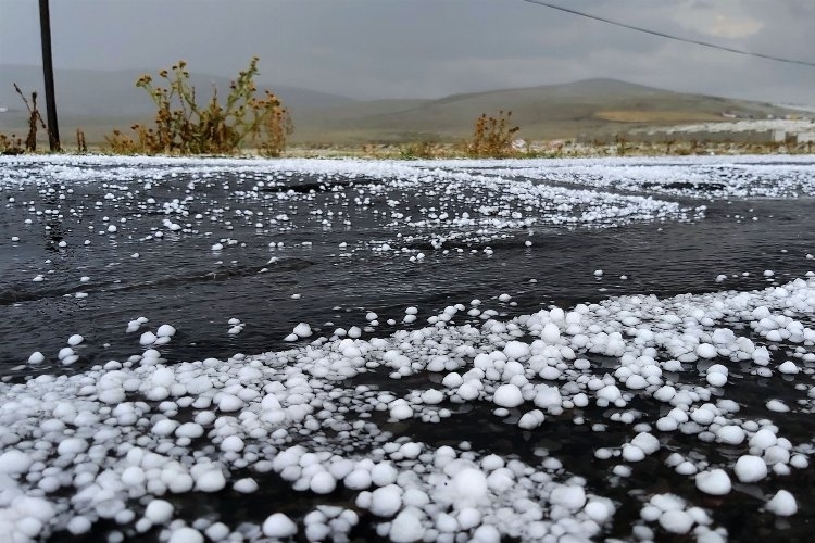 Edirne'de 16 Bin Dekarlık Dolu Zararı Üreticileri Üzdü