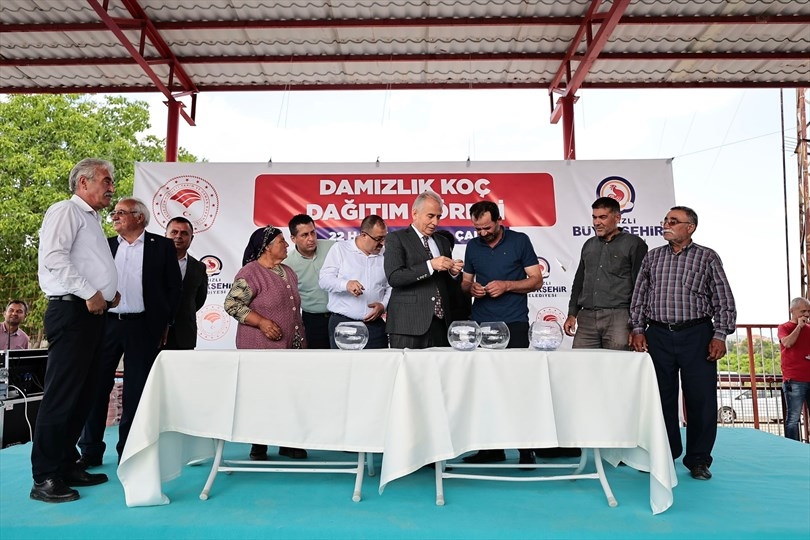 Denizli Büyükşehir’in hayvancılık destekleri çığ gibi büyüyor