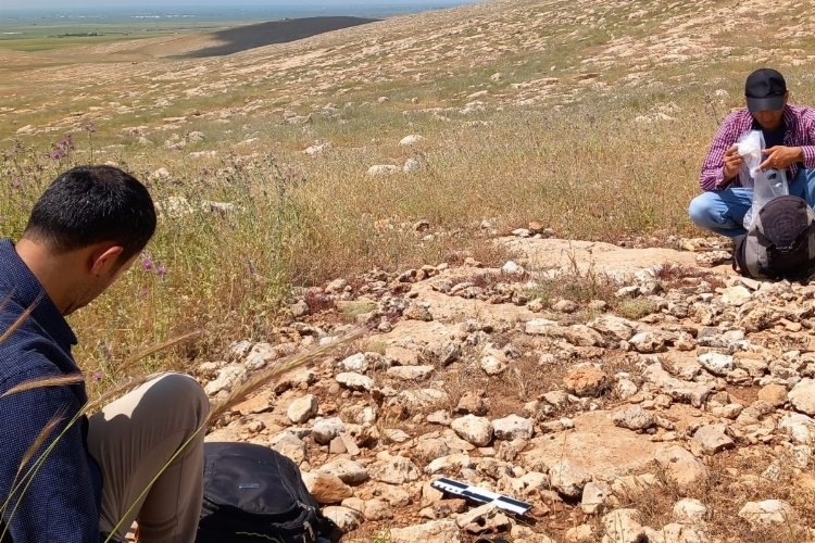 Mardin'de Pleistosen ve Erken Holosen Dönemlerine Ait Yaşam İzleri