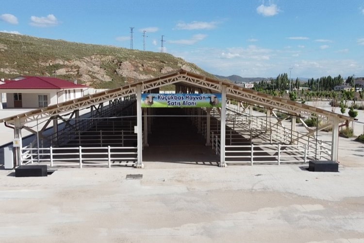 Sivas'ta Hayvancılıkta Büyük Devir Başlıyor