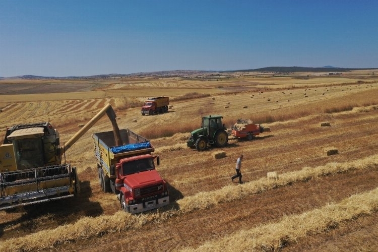 Belediyenin Buğdayları Un Halinde İhtiyaç Sahiplerine Dağıtılacak