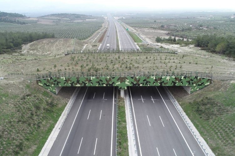 'Ekolojik Köprü' Projeleri Yaygınlaşıyor