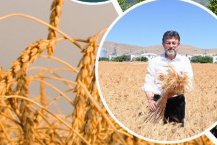 Çiftçilere 11,2 Milyar TL Değerinde Destek Sağlanıyor