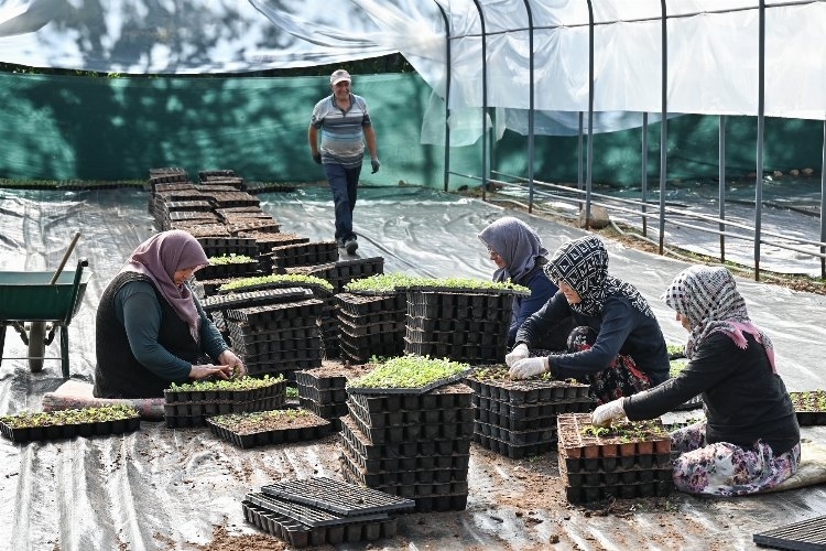 Kelesli Çiftçilerin Üretkenliği Bursa'ya Katma Değer Sağlıyor