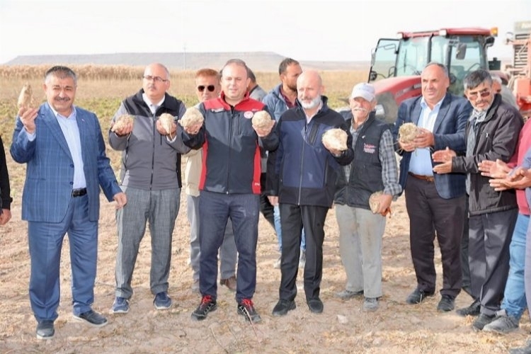 Kocasinan, Kayseri'de Şeker Pancarı Hasadı Gerçekleşti