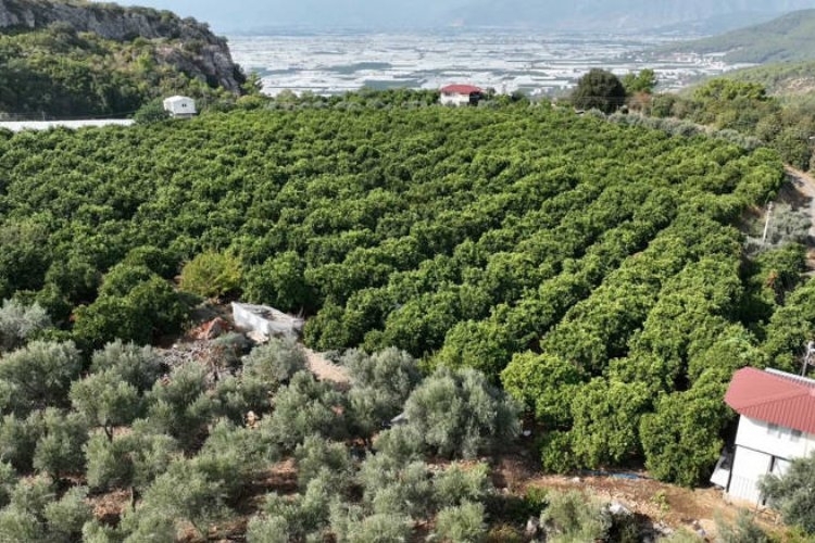 Kapalı Devre Sulama Sistemiyle Yüzler Gülüyor