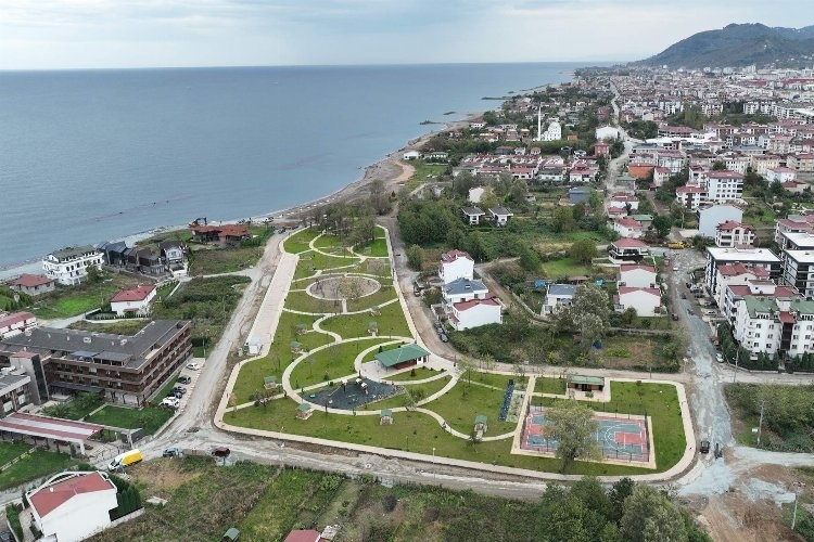 Ordu'da bataklık yaşam alanına döndü
