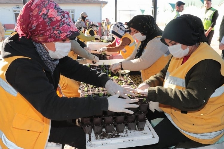 Şanlıurfa'da Serada 1.5 milyon çiçek ürettiler