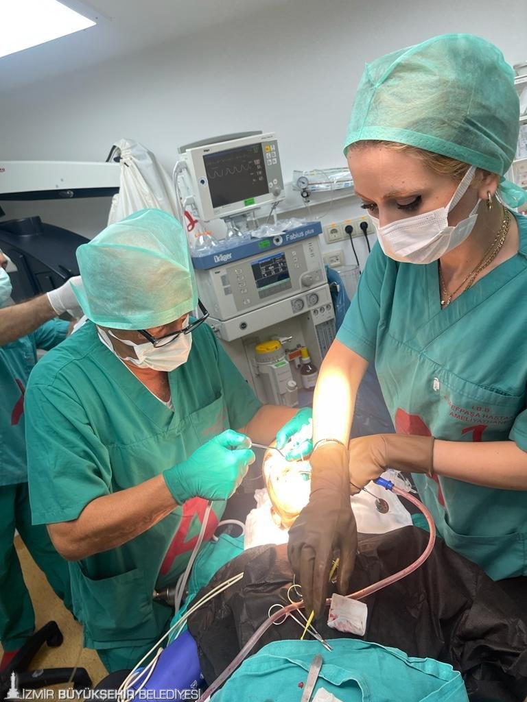 İzmir Büyükşehir Belediyesi engelliler için diş sağlığı merkezi kuruyor
