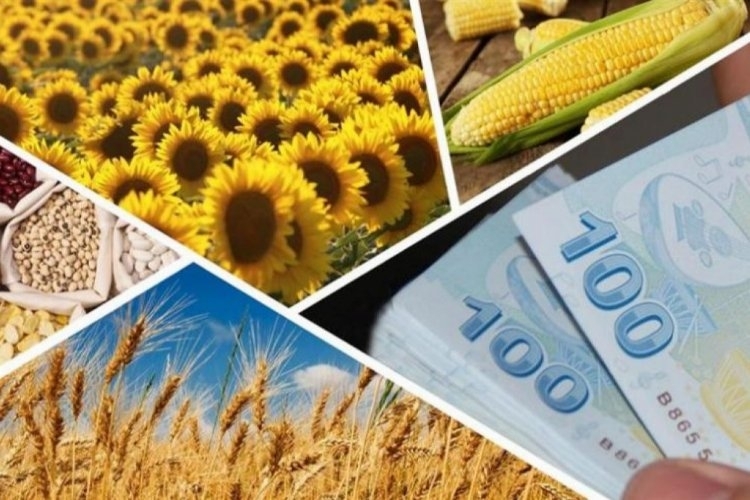 Tarımsal Sektöre 3,5 Milyar Liralık Destek Sağlanacak