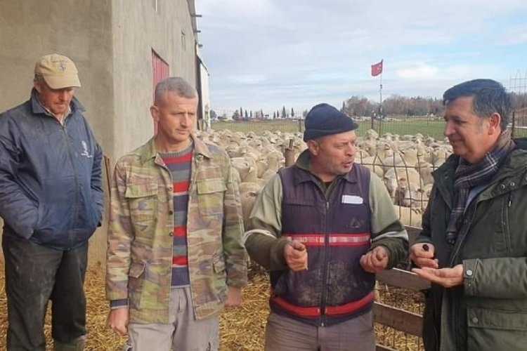 Gaytancıoğlu: 'Hayvancılık Zor Durumda, Acil Çözümler Gerekiyor'