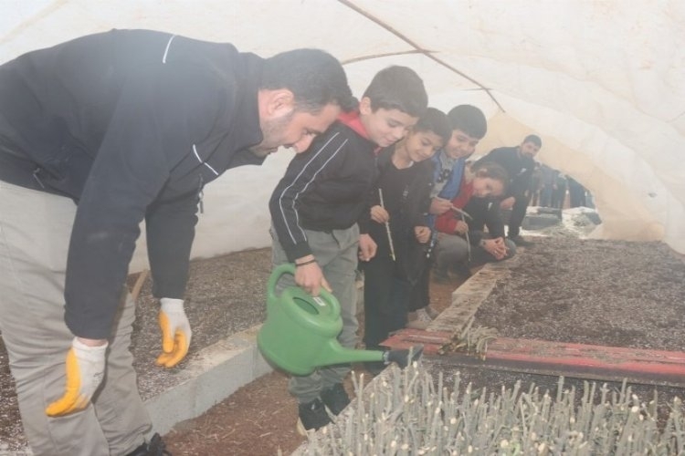 Şanlıurfa'da Çocuklar, Tarımın Büyülü Dünyasıyla Tanıştı