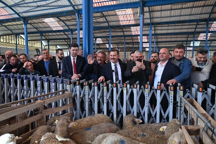 Hayvancılığı Canlandırmak İçin Önemli Destekler Açıklandı