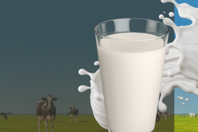 Her Gün En Az 2 Su Bardağı Süt Diş Sağlığını Güçlendiriyor