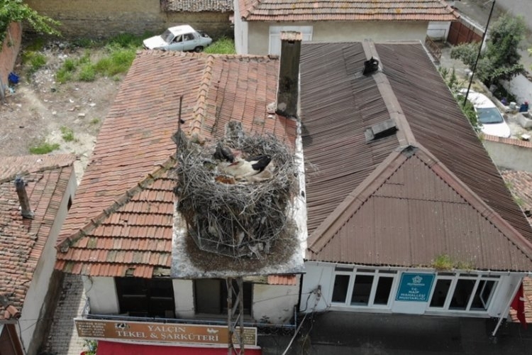 Gelendost: İzlenen Bir Nokta!