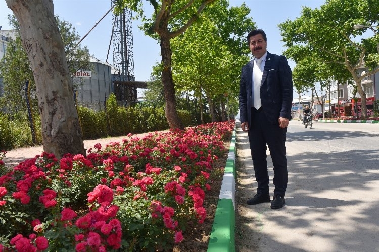 Yenişehir'in Vitrini Çiçeklerle Renklenecek
