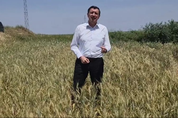Gaytancıoğlu: Buğday Fiyatının En Az 15 TL Olması Gerekiyor