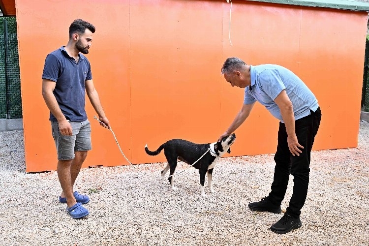 Başkan Uysal: 'Dengenin Sağlanması Gerekiyor'