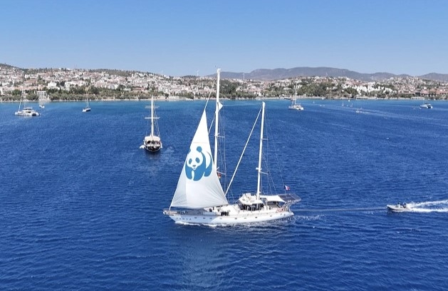 Blue Panda Türkiye'den Ayrıldı
