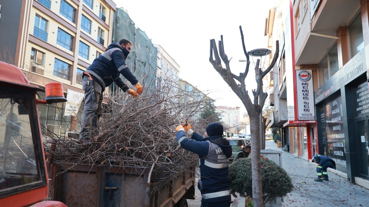 Nevşehir'de Belediye Ekipleri Kışlık Budama Çalışmalarına Devam Ediyor