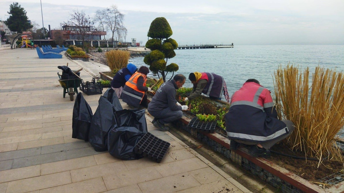 ORDU'DA DALGALARIN VERDİĞİ TAHRİBAT ONARILIYOR