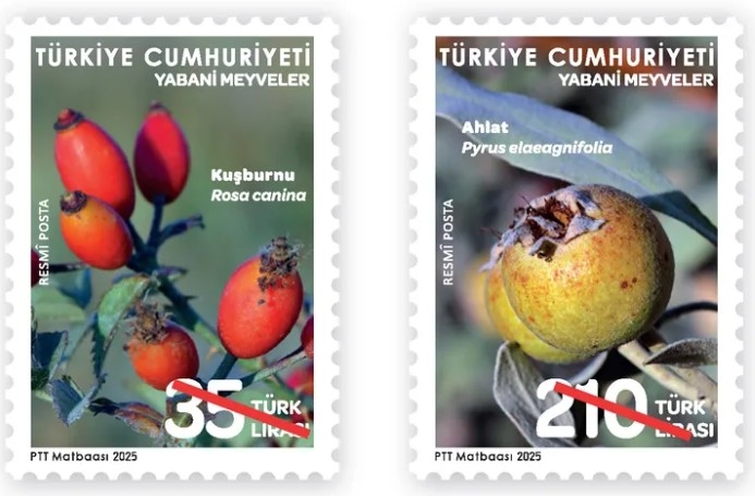 PTT, “Yabani Meyveler” Temalı Pulları Tedavüle Sundu