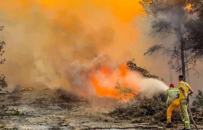 OGM: Ormanları Korumak İçin 86 Milyon Kişinin Duyarlılığı Gerekli!