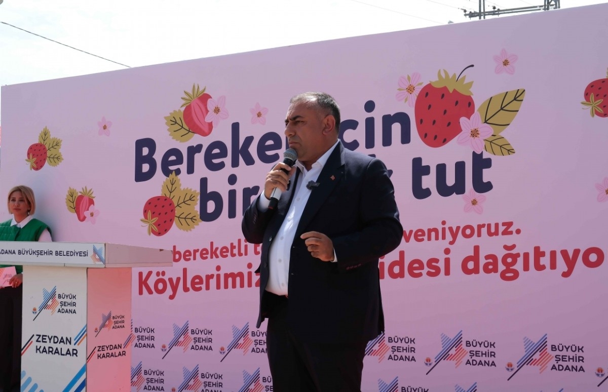 Pozantılı Çiftçilere 900 Bin Çilek Fidesi Daha Ulaştırıldı