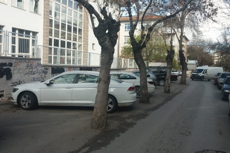Afyonkarahisar'da otopark için ağaçların köküne asfalt döküldü!