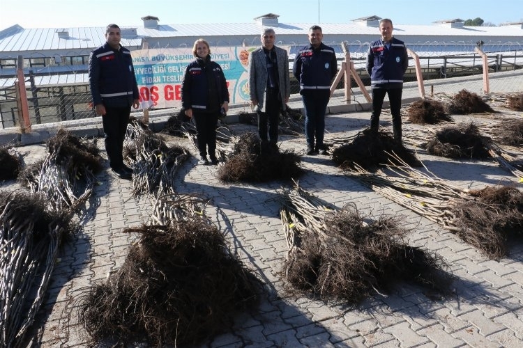 Manisa Gördesli üreticilere fidan desteği sağlandı