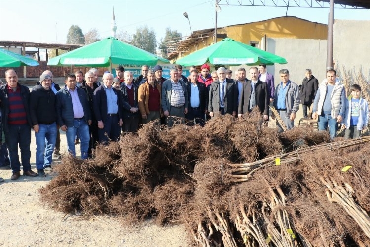 Manisa'da fidanlar üreticilere teslim edildi