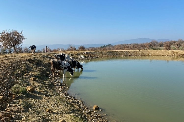 Manisa'da 118 gölet yenilendi