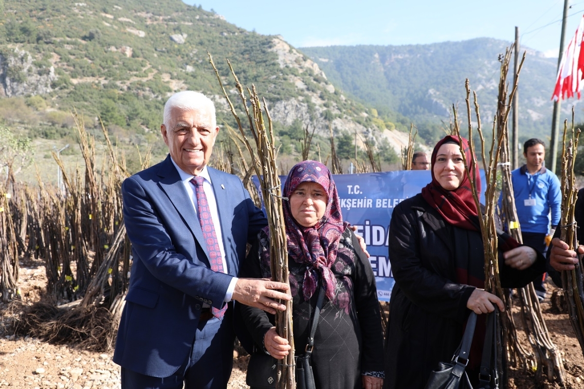 Ceviz, badem ve incir fidanları dağıtımı başlıyor