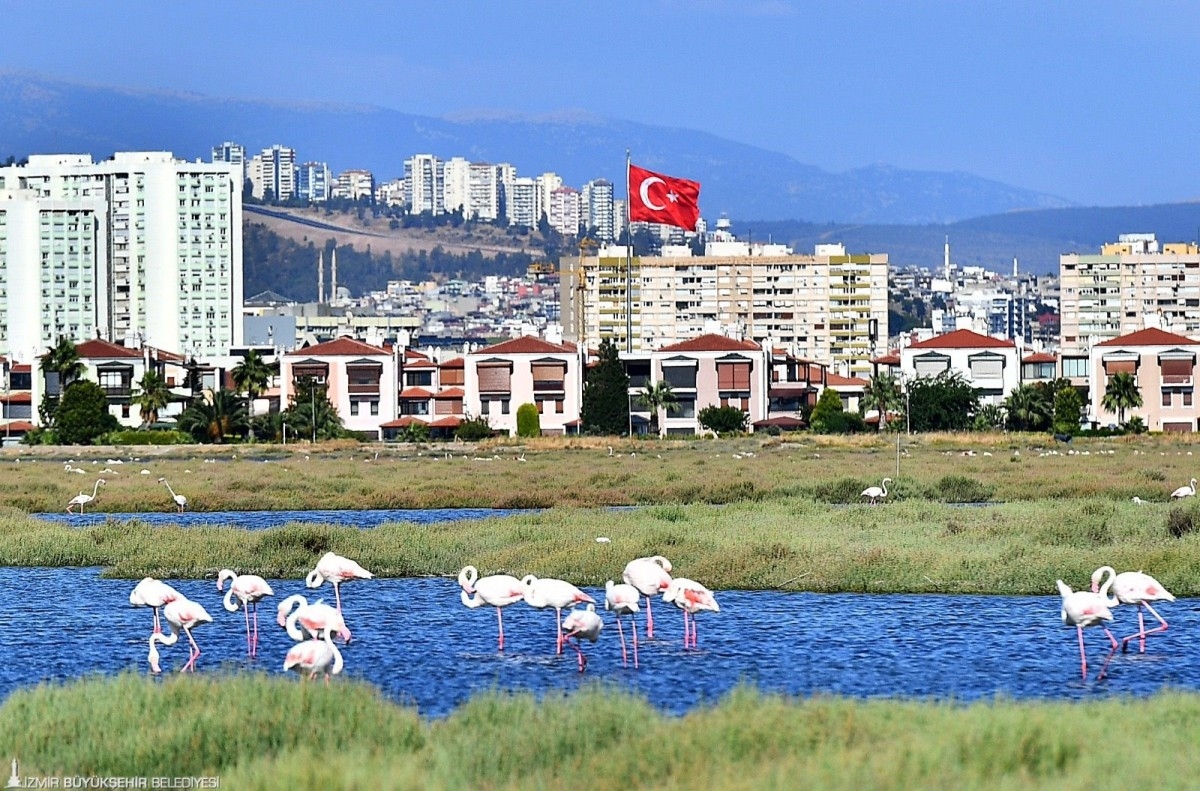 “Flamingo Yolu” turu İzmirliler yoğun ilgi gösterdi.
