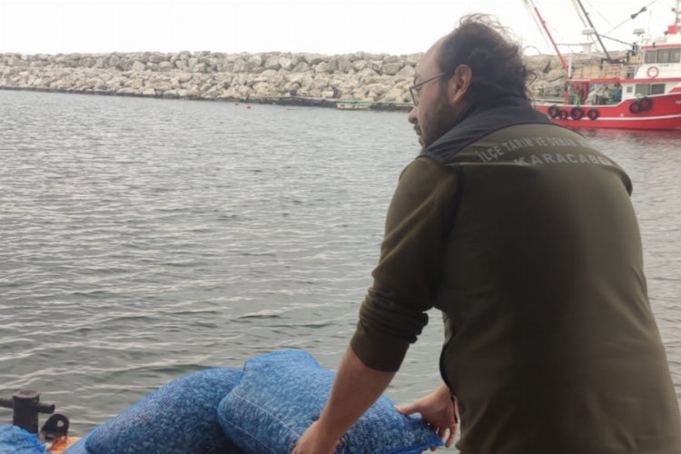 Karacabey sahilinde 40 çuval kaçak midye yakalandı!