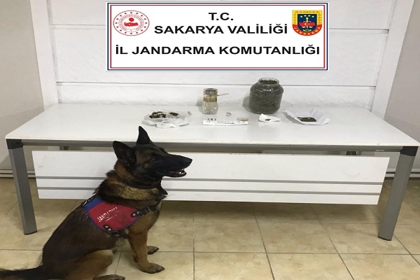 Sakarya'da uyuşturucu operasyonu