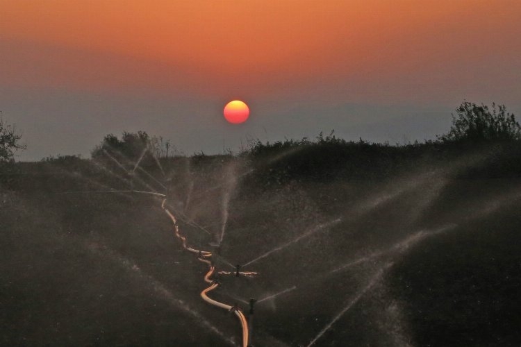 Kuraklık tehlikesi Yenişehir Ovası'nda