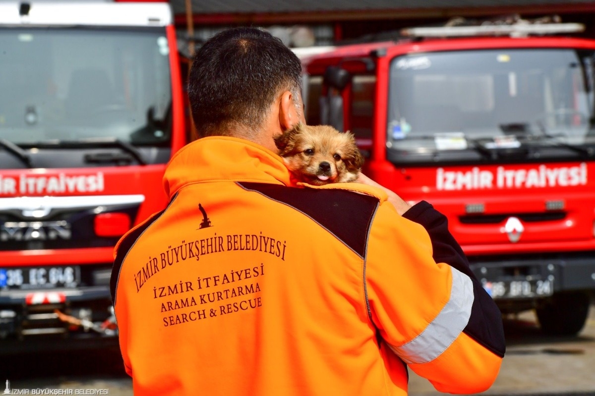 İzmirli itfaiyeci deprem bölgesinden gelen köpeğe yuvasını açtı