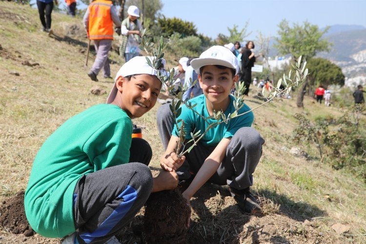 Zeytin fidanları Bodrum'da toprakla buluştu