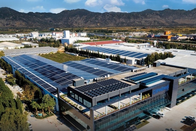 CW Enerji Güneş Enerjisi Üretim Kapasitesini Arttırdı
