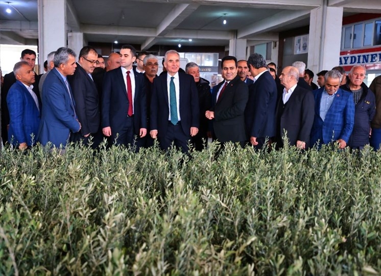Denizli Büyükşehir'de zeytin seferberliği