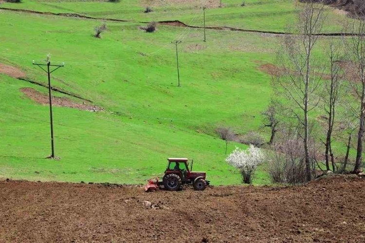 Ordu'da Atıl araziler tarıma dönüşüyor