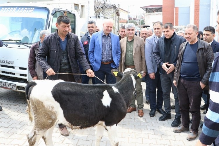 Manisa Kula'da hayvan üreticilerine eğitim desteği