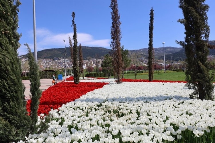 Bursa’yı Baharın tüm renkleri sardı