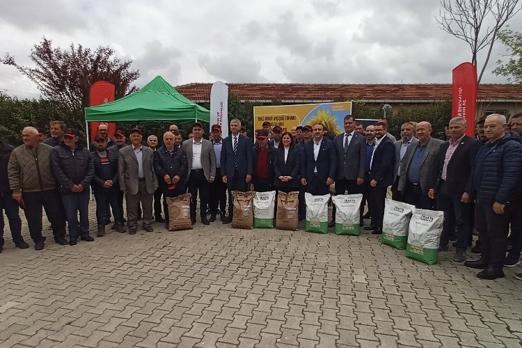 'Yerli Hibrit Ayçiçeği' tohumu dağıtıldı