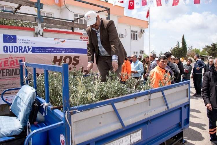 Mersin Büyükşehir Belediyesi'nden Üreticilere zeytin fidanı desteği